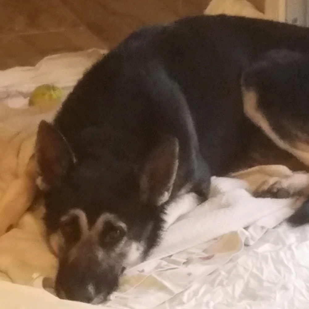 Meet your Posher, Brenda